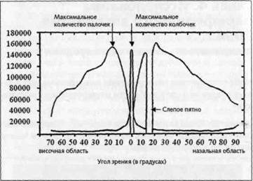 Нейромаркетинг. Визуализация эмоций