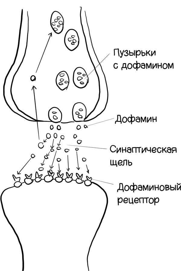 Как запомнить всё! Секреты чемпиона мира по мнемотехнике