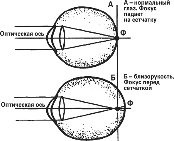 Мифы о нашем теле. Научный подход к примитивным вопросам