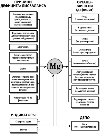 Микроэлементы. Бодрость, здоровье, долголетие