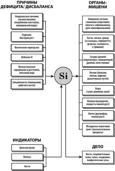 Микроэлементы. Бодрость, здоровье, долголетие