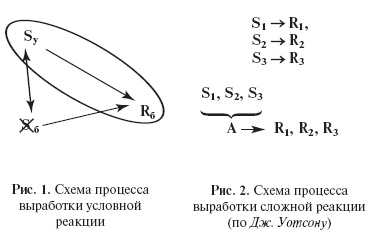 Введение в общую психологию: курс лекций