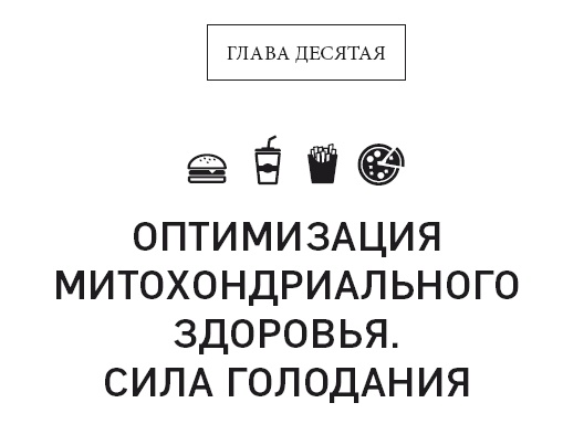 Клетка "на диете". Научное открытие о влиянии жиров на мышление, физическую активность и обмен веществ