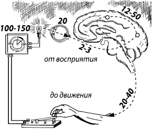 Занимательная психология