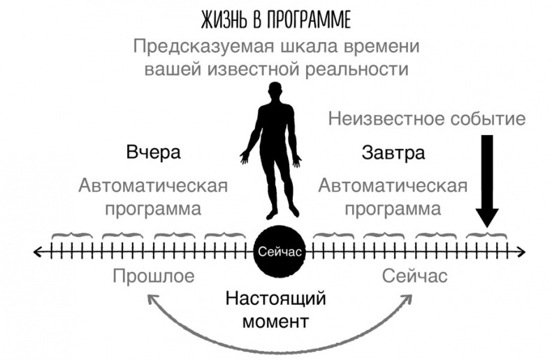 Сверхъестественный разум. Как обычные люди делают невозможное с помощью силы подсознания