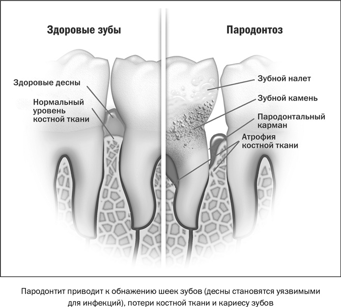 Здоровое питание в вопросах и ответах