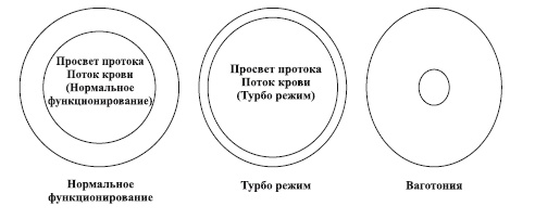 Исцеление воспоминанием