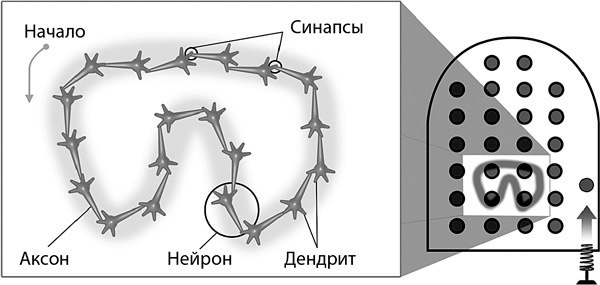 Думай как математик. Как решать любые задачи быстрее и эффективнее