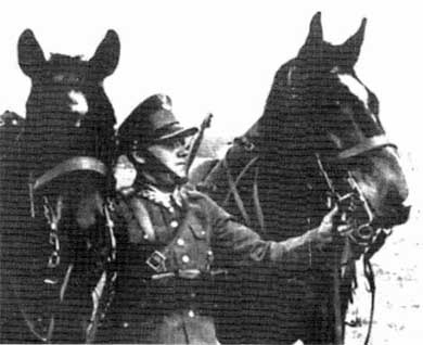 Польская армия. 1939-1945