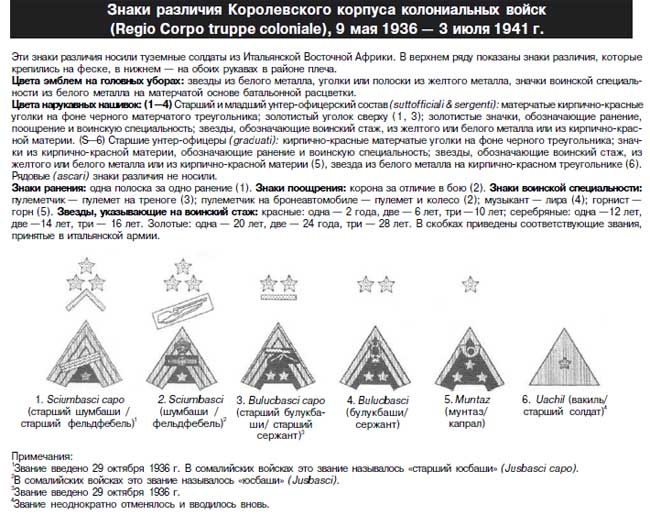 Итальянская армия. 1940 - 1943. Африканский театр военных действий