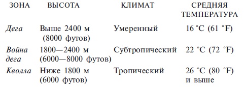 Абиссинцы. Потомки царя Соломона