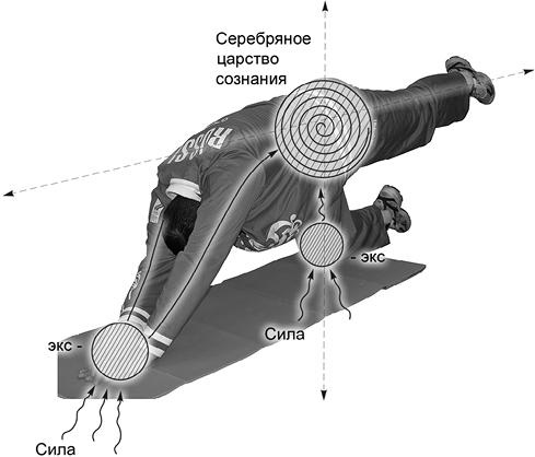 Своды Славянской гимнастики