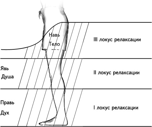 Своды Славянской гимнастики