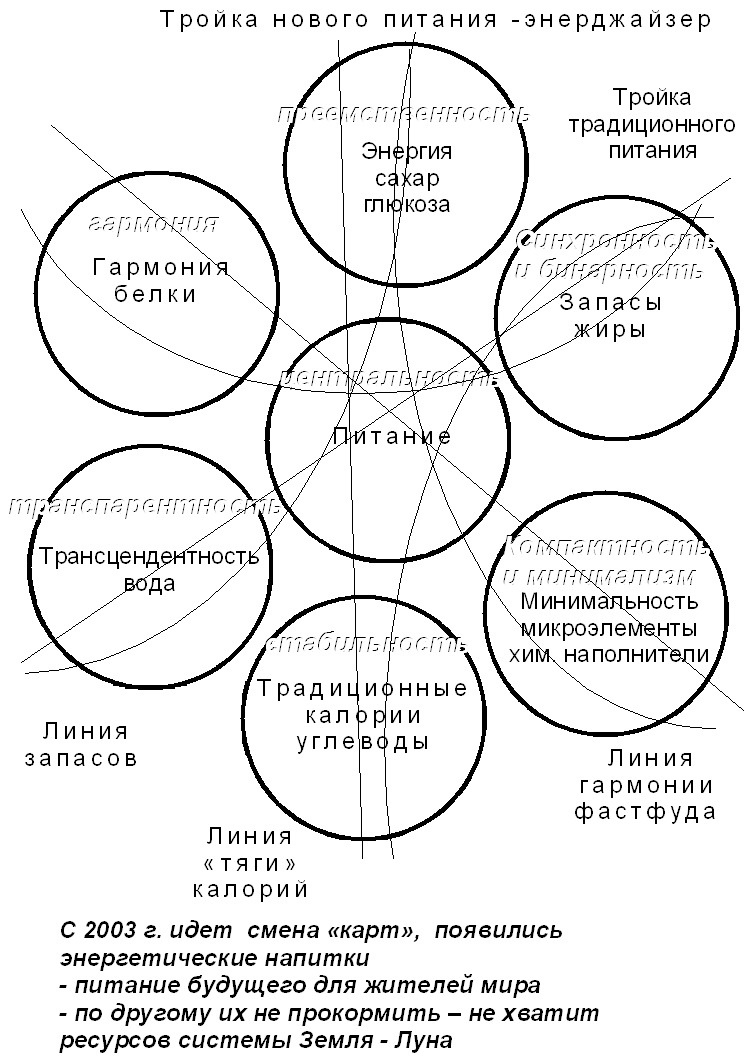 Волновая диетология