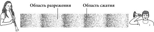 Красота в квадрате. Как цифры отражают жизнь и жизнь отражает цифры