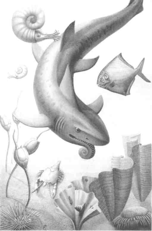 Парнокопытные киты, четырехкрылые динозавры, бегающие черви... Новая палеонтология. Реальность, которая удивительнее фантазий
