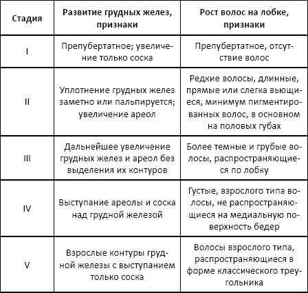 Полный справочник анализов и исследований в медицине