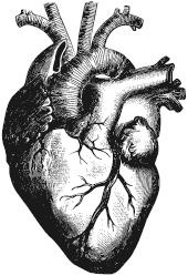 Стоп-инфаркт. Как читать ЭКГ и заботиться о сердце