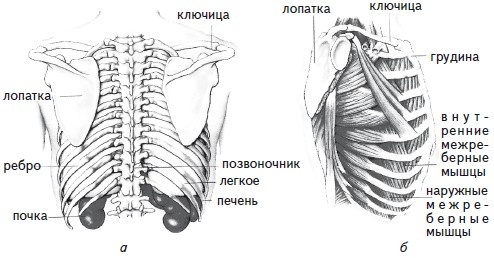 Как избавиться от боли в спине