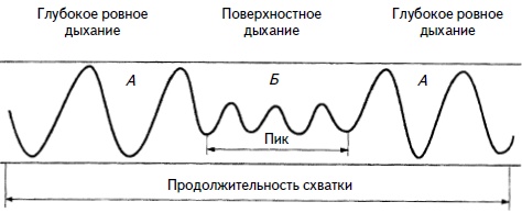 Гимнастика для женщин