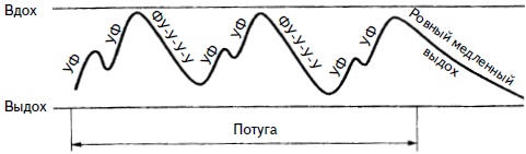 Гимнастика для женщин