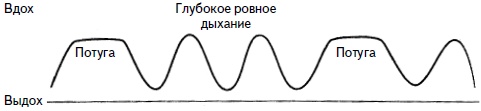 Гимнастика для женщин