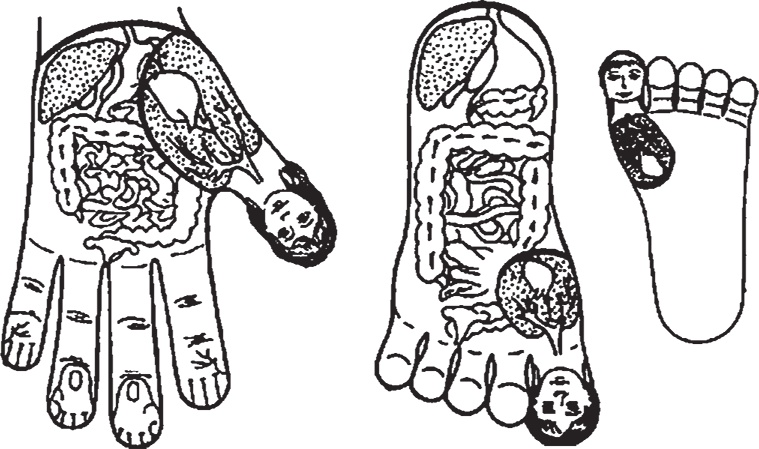 Суджок - исцеляющий самомассаж. Основные приемы