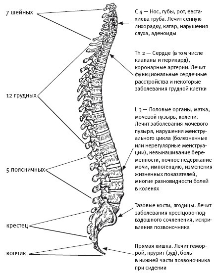 Ни кошелька, ни жизни. Нетрадиционная медицина под следствием