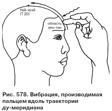 Целительные точки от всех болезней в пошаговых схемах