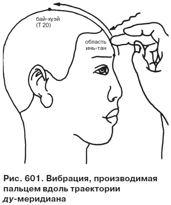 Целительные точки от всех болезней в пошаговых схемах