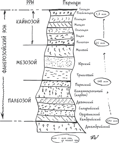 Неотрицаемое. Наш мир и теория эволюции