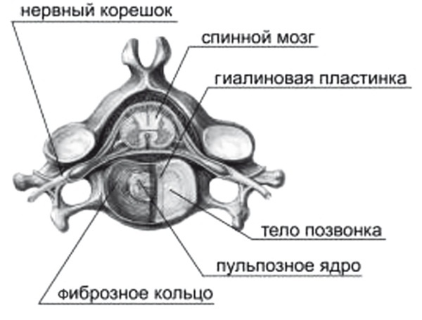 Лучшие методы лечения остеохондроза