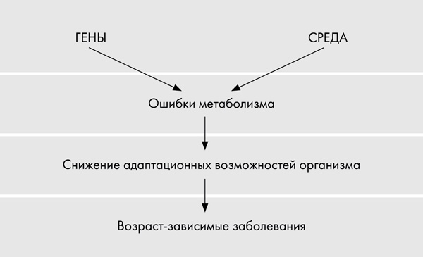 Стоп старение. Как вернуть молодость, здоровье и жизненные силы