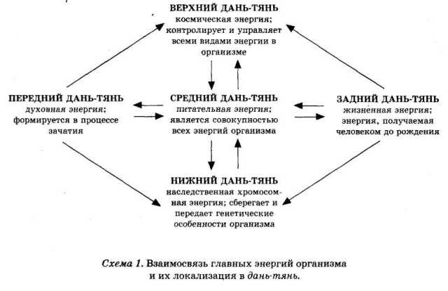 Энциклопедия целебного чая