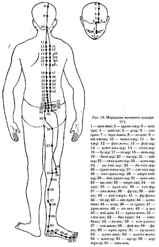 Энциклопедия целебного чая