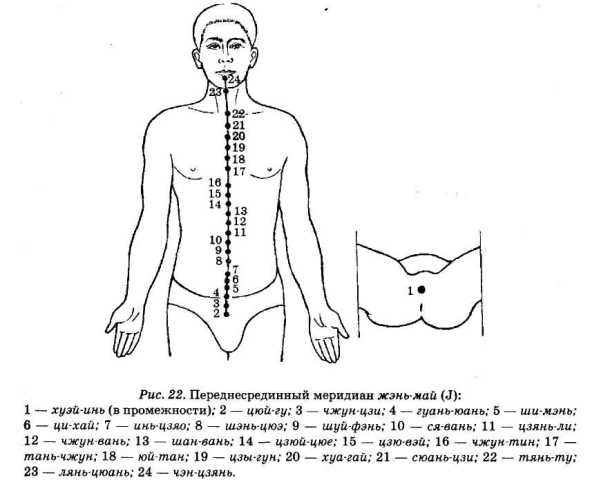 Энциклопедия целебного чая