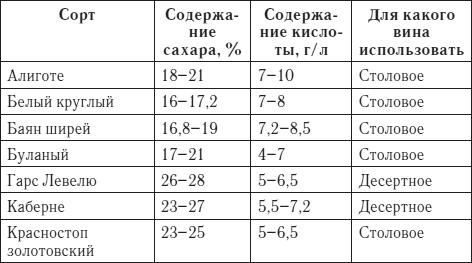 Лучшие рецепты домашнего вина