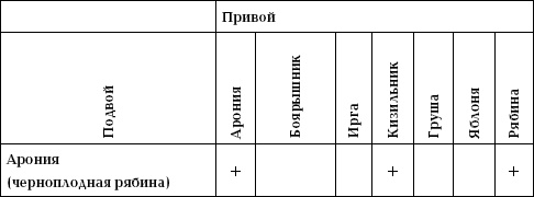 Отличный урожай круглый год