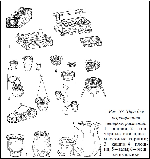 Современные теплицы и парники