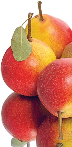 Яблони и груши. Секреты урожая от Октябрины Ганичкиной