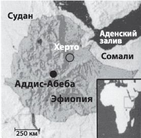 Эректус бродит между нами. Покорение белой расы