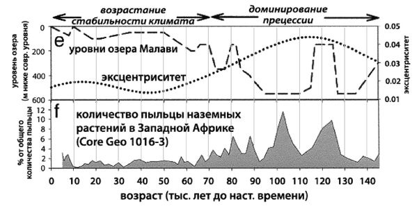 Эректус бродит между нами. Покорение белой расы