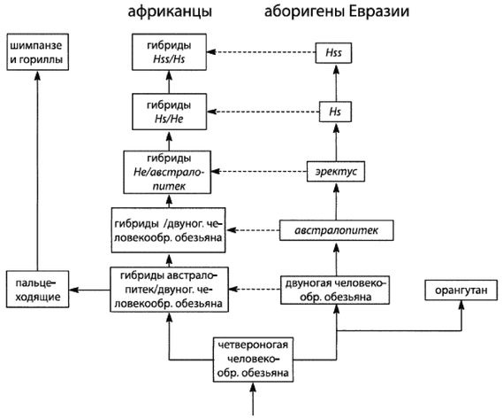 Эректус бродит между нами. Покорение белой расы