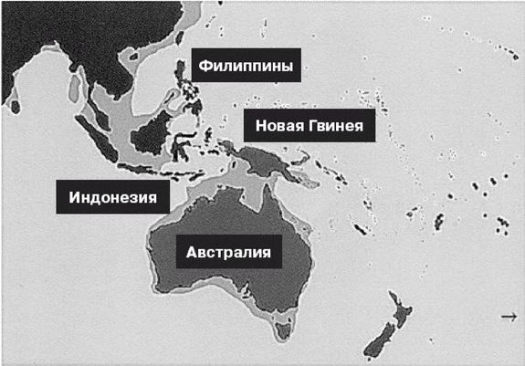 Эректус бродит между нами. Покорение белой расы