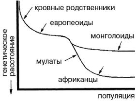 Эректус бродит между нами. Покорение белой расы