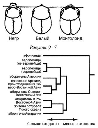 Эректус бродит между нами. Покорение белой расы