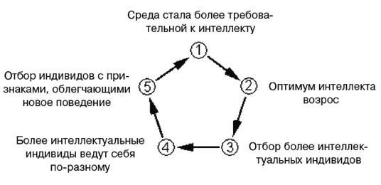 Эректус бродит между нами. Покорение белой расы