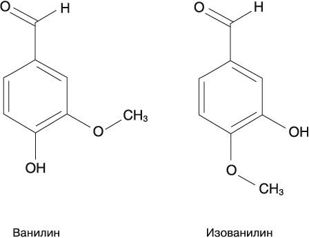 Жизнь на грани. Ваша первая книга о квантовой биологии