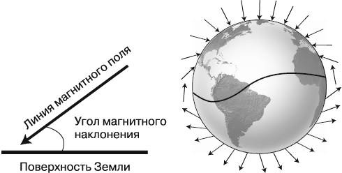 Жизнь на грани. Ваша первая книга о квантовой биологии