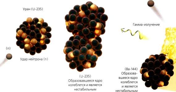 Мир в ореховой скорлупке